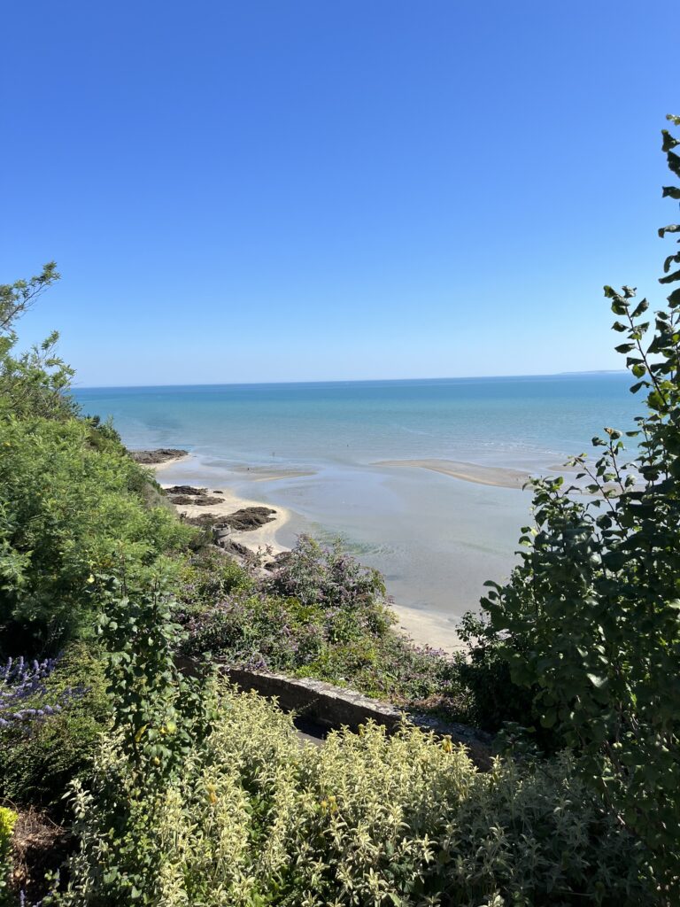 Plérin Autrement - Municipales 2026 à Plérin